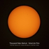 Copie de Filtre solaire Sun Catcher pour télescopes 150-160mm Newton