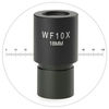 photo Euromex Oculaire WF 10x / 18mm avec échelle micrométrique pour MicroBlue