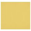 Fonds de studio photo Westcott Toile de fond infroissable X-Drop - Canary Yellow (8' x 8')