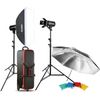 Kits flash studio Godox Kit de 2 flashs 300W - E300-F
