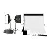 Kits flash studio Godox Kit 2 flashs MS300 + support de fond + 1 fond blanc en tissu + 1 fond noir en tissu + 2 pinces
