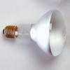 Ampoules et tubes éclairs Kaiser Lampe Photoflood, 150 W, 230 V, E27, 3200 K, avec réflecteur - KAI3128
